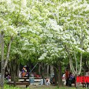 대구수목원 이미지