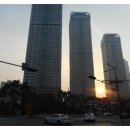 청라중앙동물약국 이미지