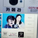 월미도 부산태종대회집