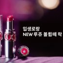 더샤인뷰티 이미지