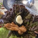 신가네숯불닭갈비회냉면 | 청초호 맛집 강력 추천! 숯불 향이 가득 배인 야들야들한 닭갈비와 시원한 냉면의 환상 조합, '숯닭숯닭...