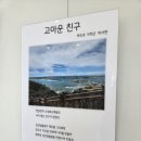 제주세계자연유산센터 세계유산전시관 | [제주농어촌유학] 저기요~ 제주세계자연유산 해설사님? 혹시 나이가...? 내 나이가 어때서♪~ 해설 하기...