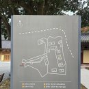 쌍계사 상록수림 | 전라남도 진도군 첨찰산 쌍계사(尖察山 雙溪寺)