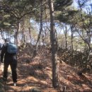 용산-244 이미지