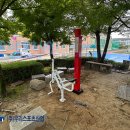 충주중학교 이미지