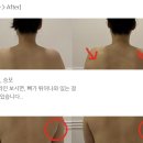 에스테틱페브