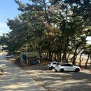 용신3 | 태안 갯벌체험 추천 | 캠핑 와서 들른 용신어촌체험마을 바지락·동죽 체험