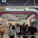 AK | 홍대 AK플라자 리락쿠마 스토어 다녀온 후기