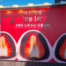 3대 여수 딸기모찌 돌산직영점
