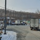 구룡2통 이미지