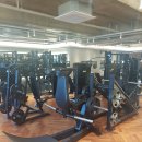 팀레드휘트니스 이미지