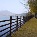 금강 자전거길 이미지