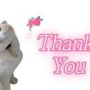 하늘소축산