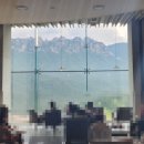 소노펠리체 델피노 이미지