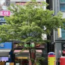 본죽&비빔밥 전주전북도청점 이미지