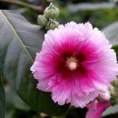 예당한의원 이미지