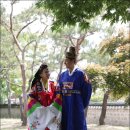 여주-0871 이미지