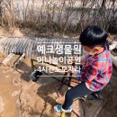 예크유치원 이미지