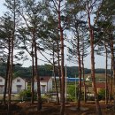 양양스테이 이미지