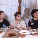 같이삽시다 이미지