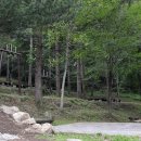 흥부골자연휴양림 이미지