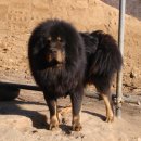 짱오농장 이미지