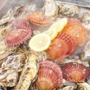 천북굴단지 이미지