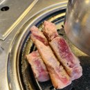 육식당