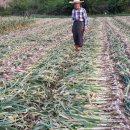 남해-113 이미지