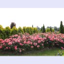 곡성-009 이미지