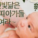 햇빛병원 이미지