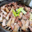 춤추는꽃돼지 - 해남군 읍내길 34 | 춤추는꽃돼지