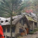 사명의수족 이미지