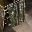 슬리핑쿠마(SleepingKuma) 이미지