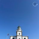 등대마트 이미지