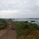 동일리-10 이미지