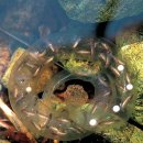 두남분교 이미지