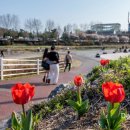 유림-1012 이미지