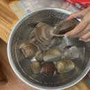 마시안갯벌체험장 이미지