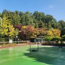 단대공원(농구장) 이미지