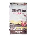 대한사료