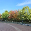 새아침공원(테니스장 옆) 이미지