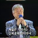 조약돌 / 박상규 이미지