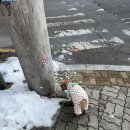 굽네치킨월피점 | 나의 인생에는 목적도 방향도 목표도 의미도 없지만, 나는 여전히 행복해 (23.12.27~12.31)