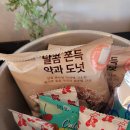영희의 정원 | 제주도 애월 에어비엔비 숙소 추천[영희의 정원]