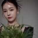 정우카서비스 이미지
