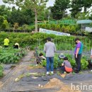 갈천초등학교 이미지