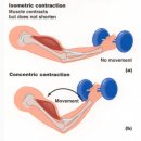 여성전용 24시 미사PT 필라테스 디펜스짐 이미지