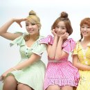 씨크릿 이미지