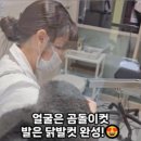 귀엽댕 | 양주 반려견 미용 R6 귀엽댕에서 미용하고 왔어요